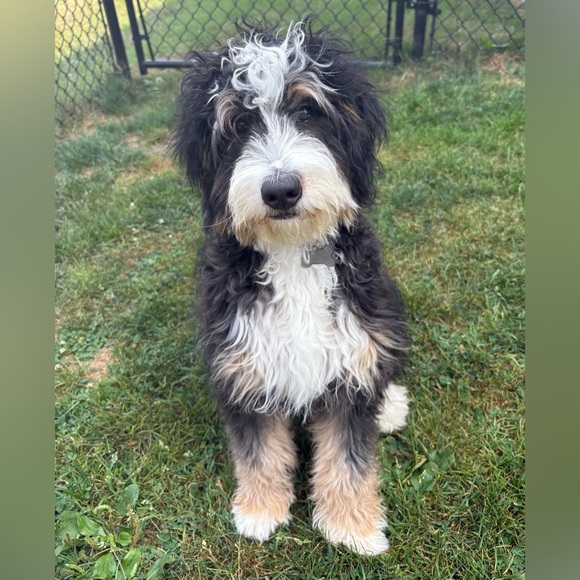 ❤️ - Picture 5 of 16